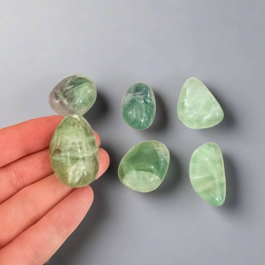 AA Grade Fluorite Tumbled Stone for Healing Decor - Blackbird & Sage Jewelry
