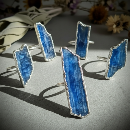 Five silver plated blue kyanite blade rings scattered on slate with botanicals, showing natural stone variation